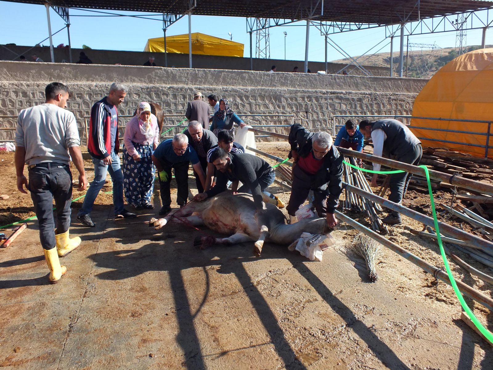 Bayram namazını kılan İstanbullular kurban kesim merkezlerine akın etti