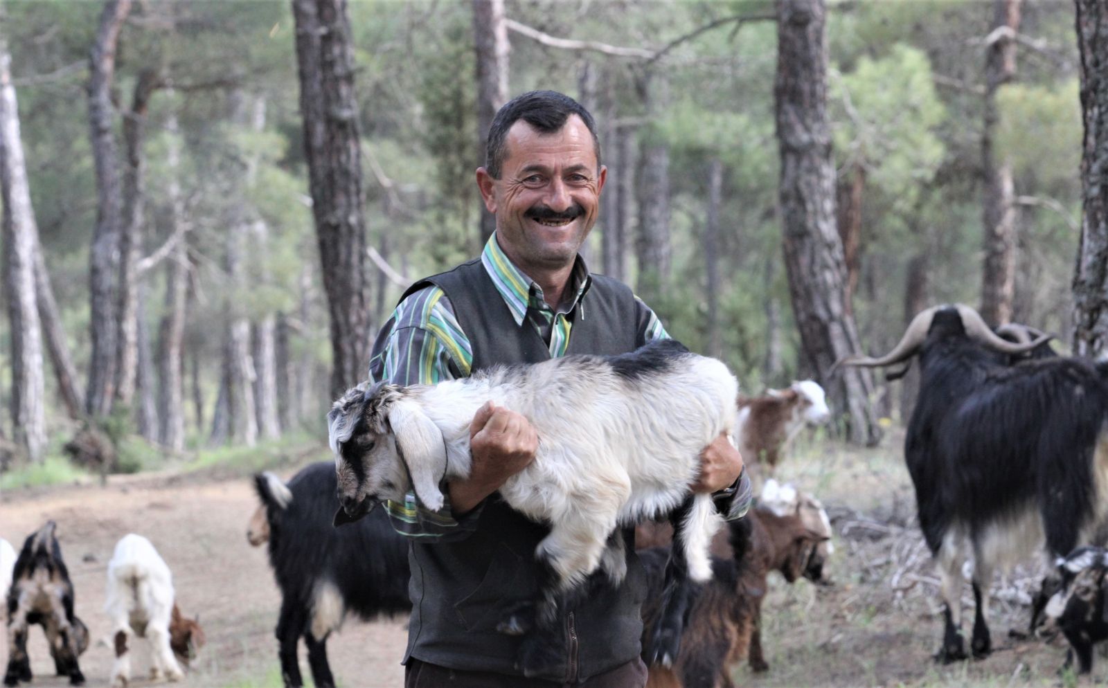 Bu çiftin evi 32 yıldır ormanlar