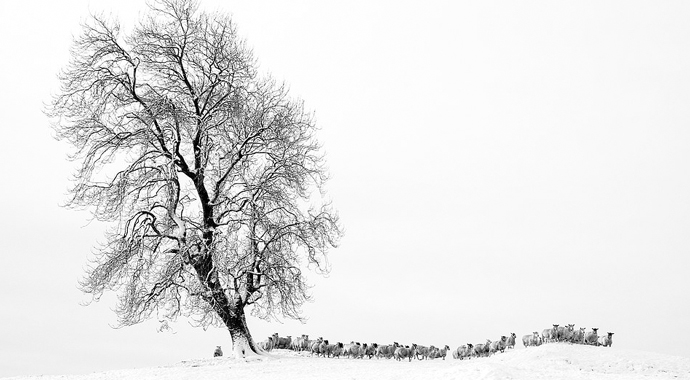 Manzara fotoğraflarının en güzelleri