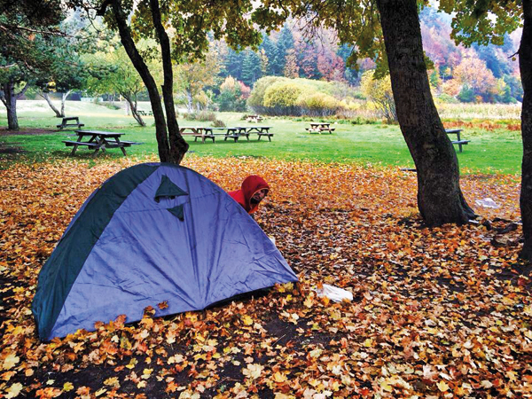 3 liraya devr-i âlem