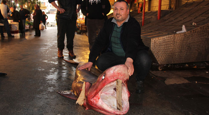 Mersin’de dev köpekbalığı yakalandı