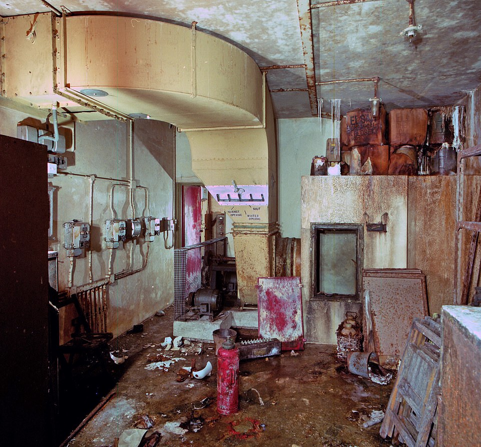 10 milyon sterline Covid-19 malikanesi