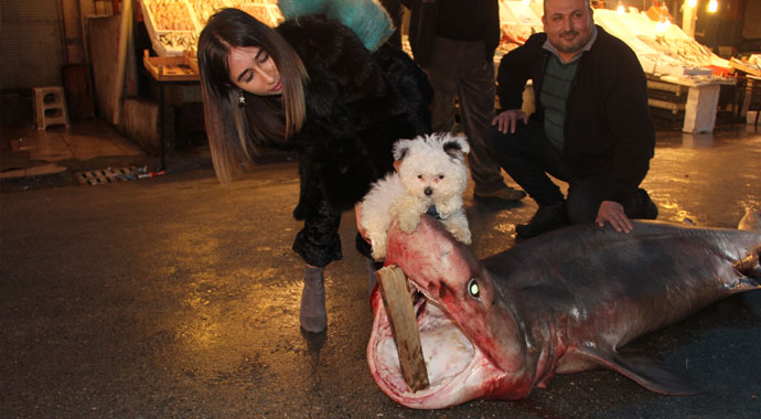 Mersin’de dev köpekbalığı yakalandı