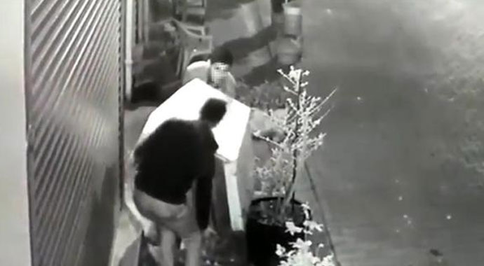 Köpeği uyandırıp, kulübesini çaldılar