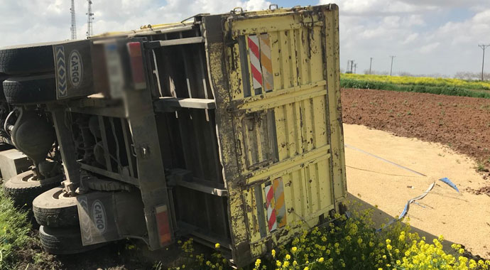 Şanlıurfa'da arpa yüklü kamyon devrildi
