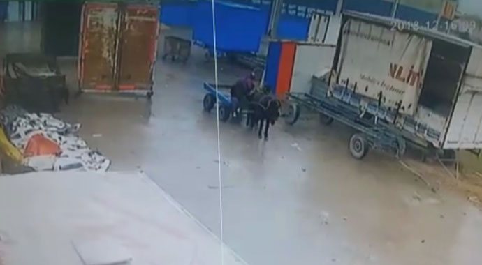 At arabalı hırsızlar kameraya yakalandı