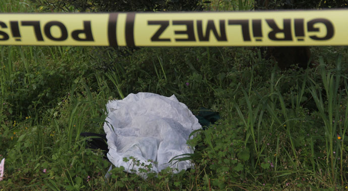 Yabani ot toplarken öldü