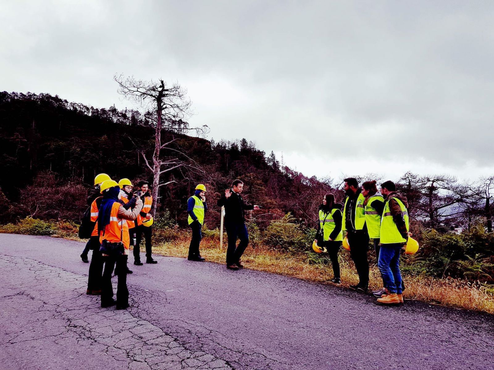 Trabzon Sürmene'deki Çamburnu Ormanı'nından kahreden haber