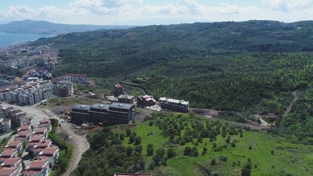 CHP'li belediye zeytinlikleri arsaya dönüştürdü