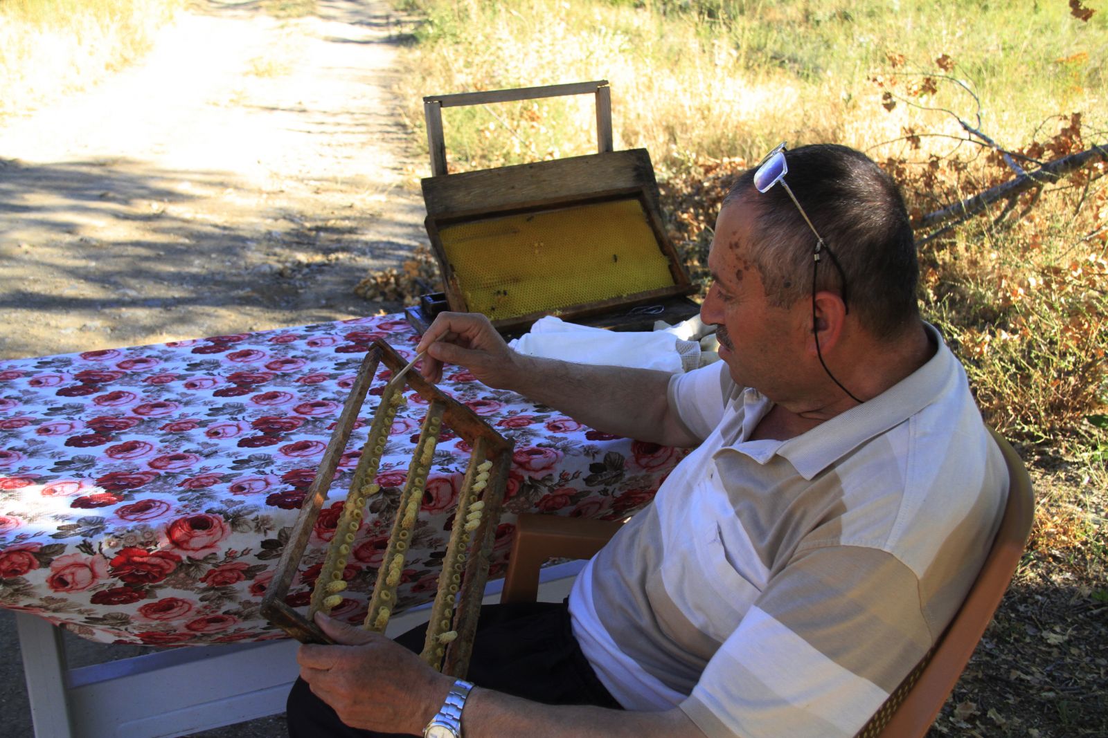 10 gramı 250 lira! Hobi olarak başladı, şimdi yetişemiyor