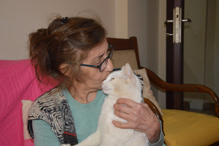 Sokak hayvanlarına sahip çıkıyorlar