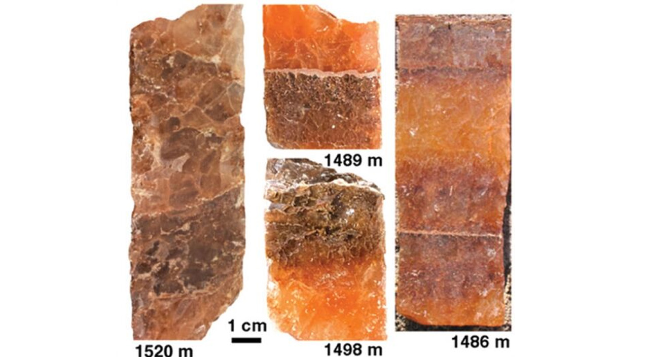 Mars keşiflerine ışık tutacak: 830 milyon yıllık canlı bulundu Mars keşiflerine ışık tutacak: 830 milyon yıllık canlı bulundu