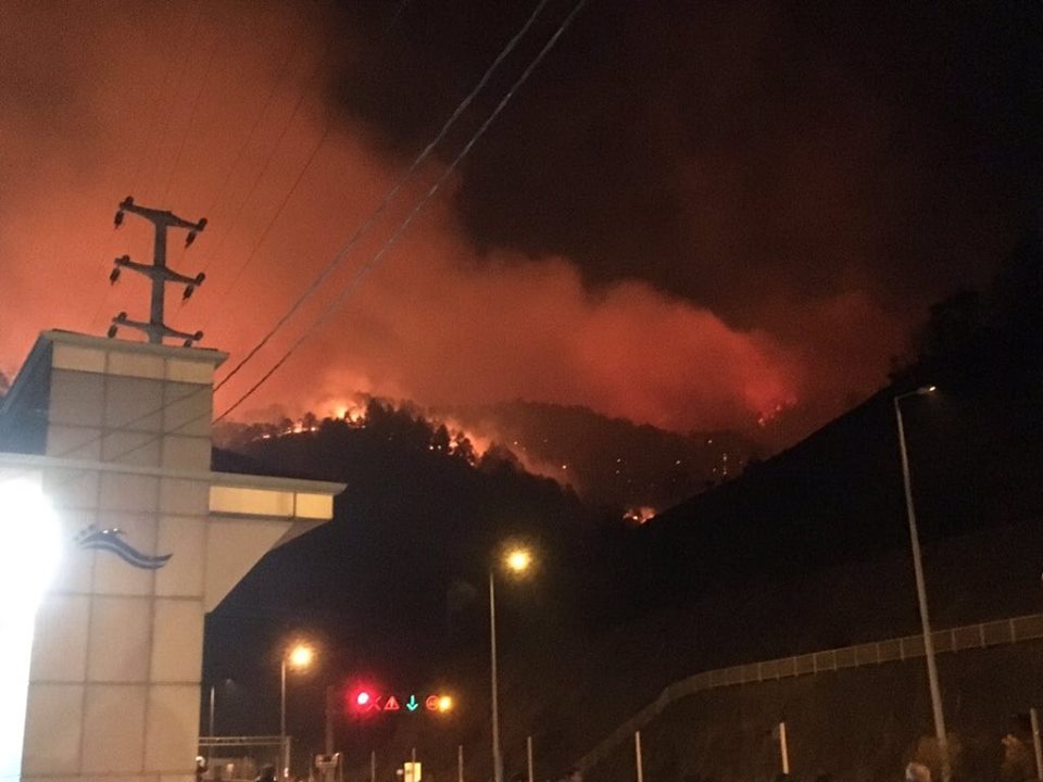 Trabzon Sürmene'de orman yangını