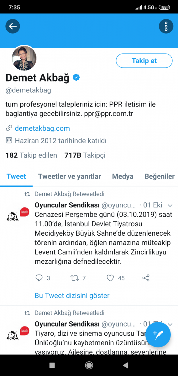 “Siz kimin sanatçısısınız?”