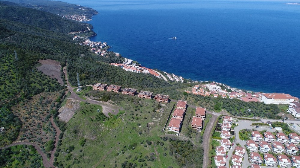 CHP'li belediye zeytinlikleri arsaya dönüştürdü