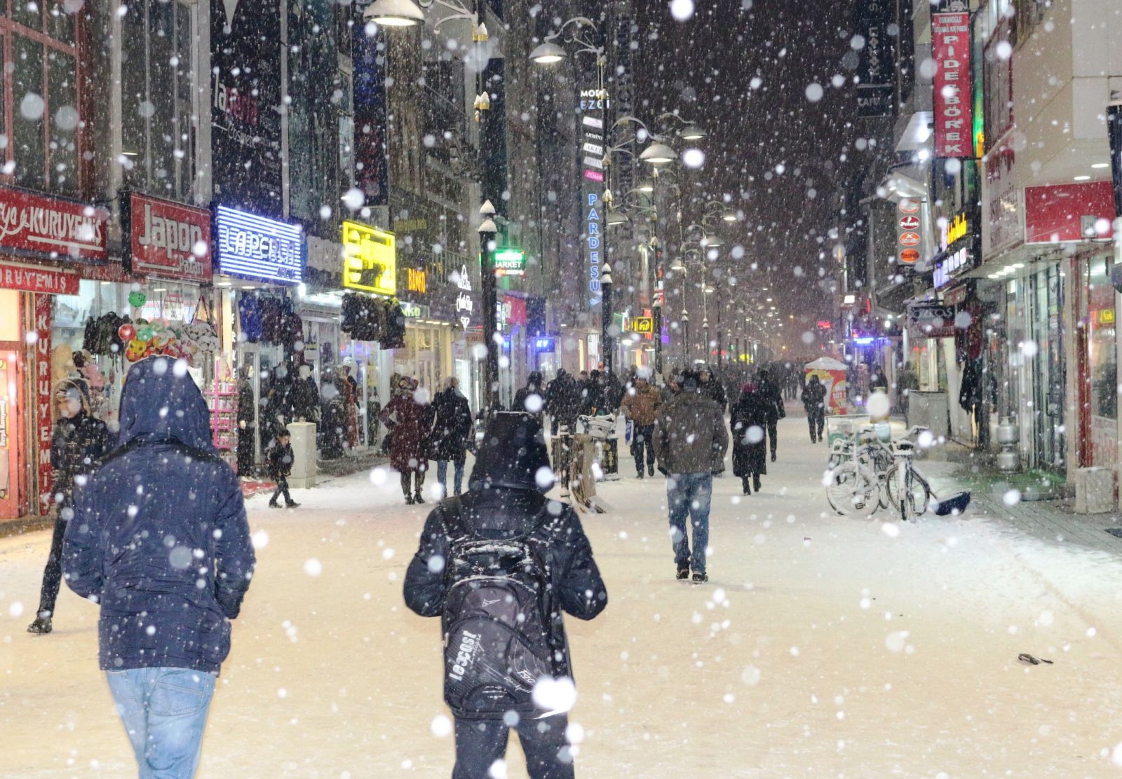 Doğu ve Güneydoğu kara teslim