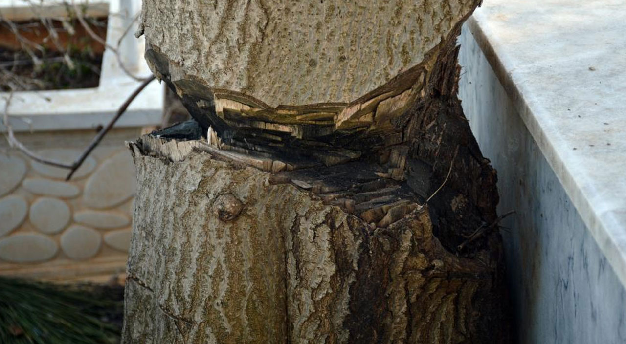 Mezar başında korkuyla dua ediyorlar