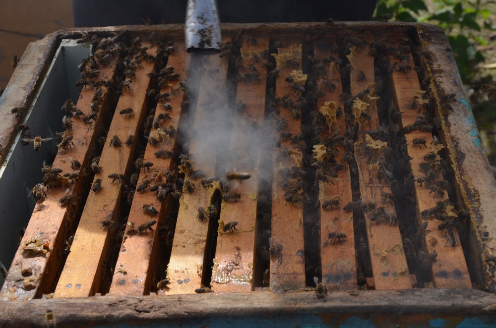 Cumhurbaşkanı Erdoğan'ın sözünü dinledi, hayatı değişti