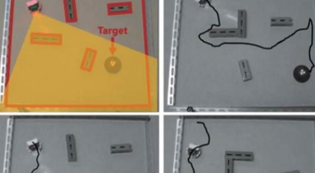 Japon bilim adamlarından bir ilk! Dünyanın ilk düşünen robotu