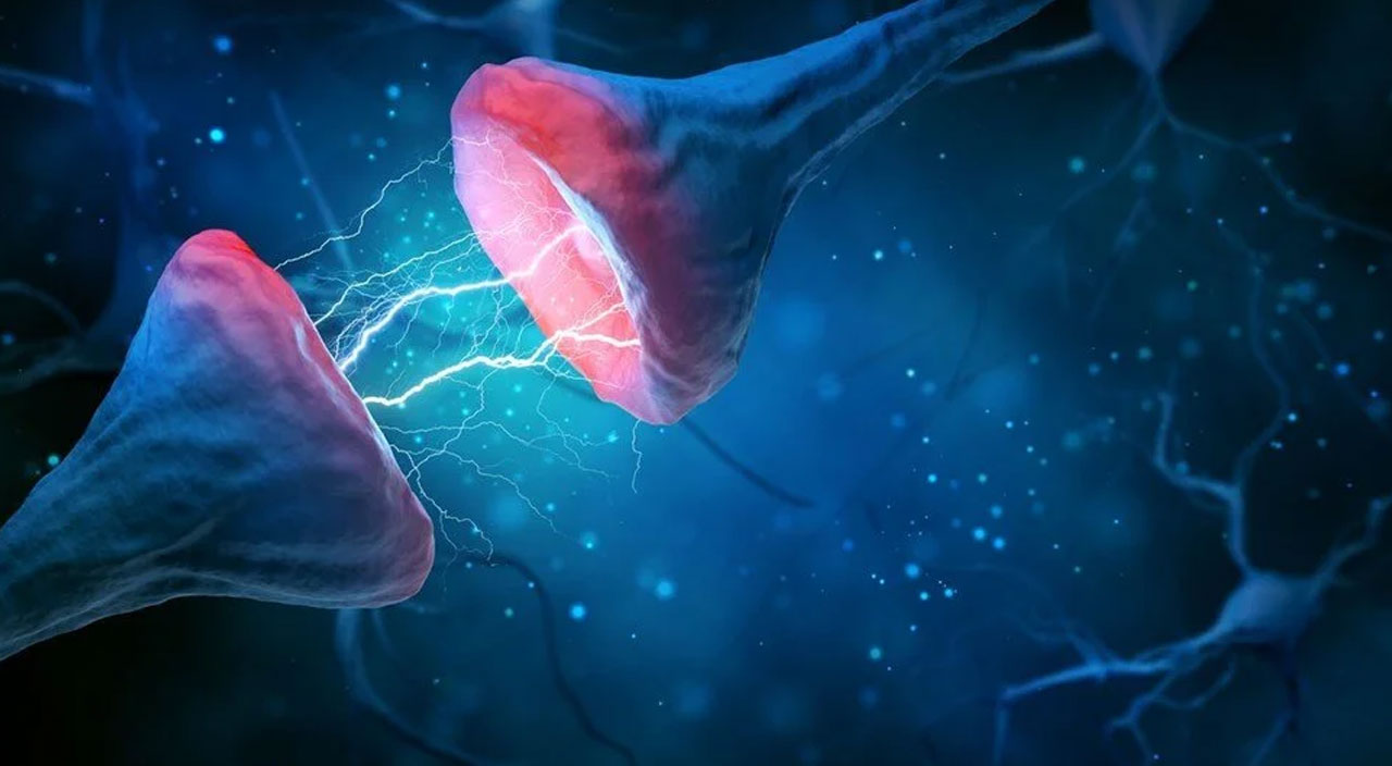 Japon bilim adamlarından bir ilk! Dünyanın ilk düşünen robotu