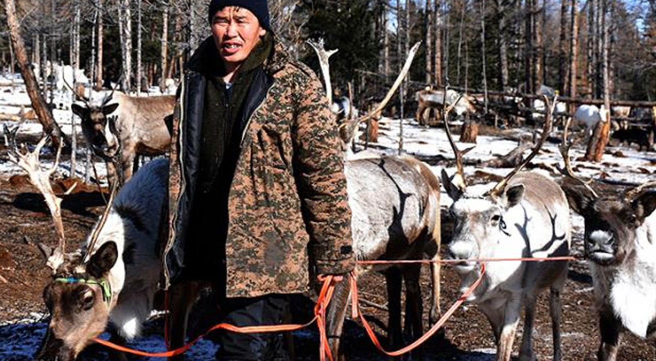 Issızlığın ortasında kalan son bir avuç Türk! Tek geçim kaynakları Ren geyikleri