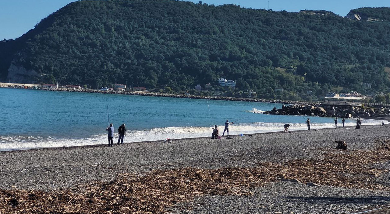 Kastamonu’da oltasını alan denize koştu! Kova kova balık tuttular
