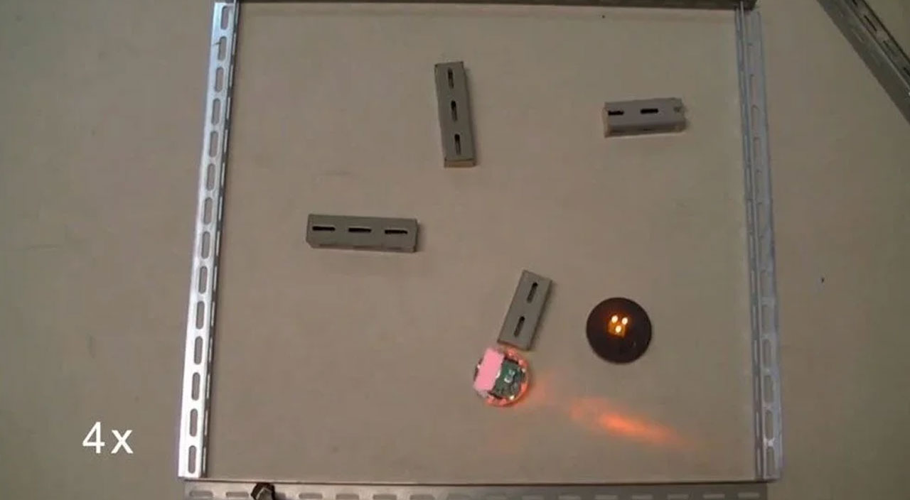 Japon bilim adamlarından bir ilk! Dünyanın ilk düşünen robotu