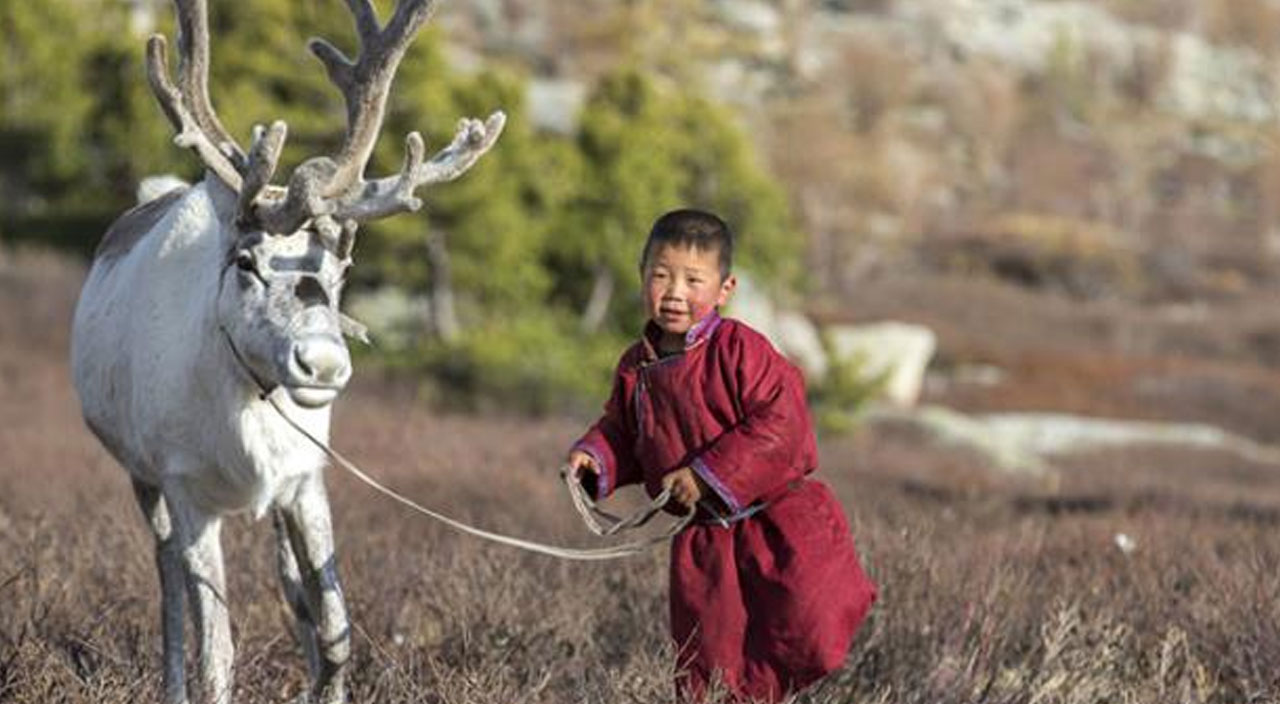 Issızlığın ortasında kalan son bir avuç Türk! Tek geçim kaynakları Ren geyikleri