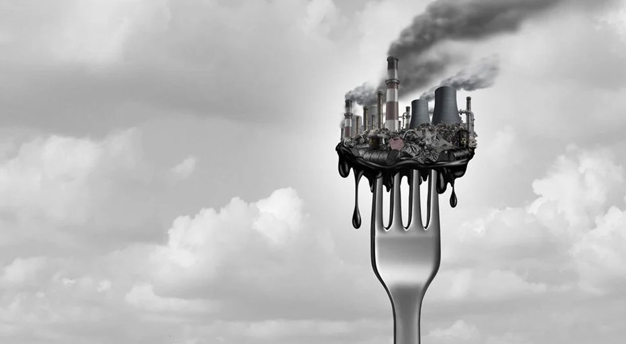 Kısırlık ve kanser yapıyor! Fast food ürünlerinde zehirli kimyasallar bulundu