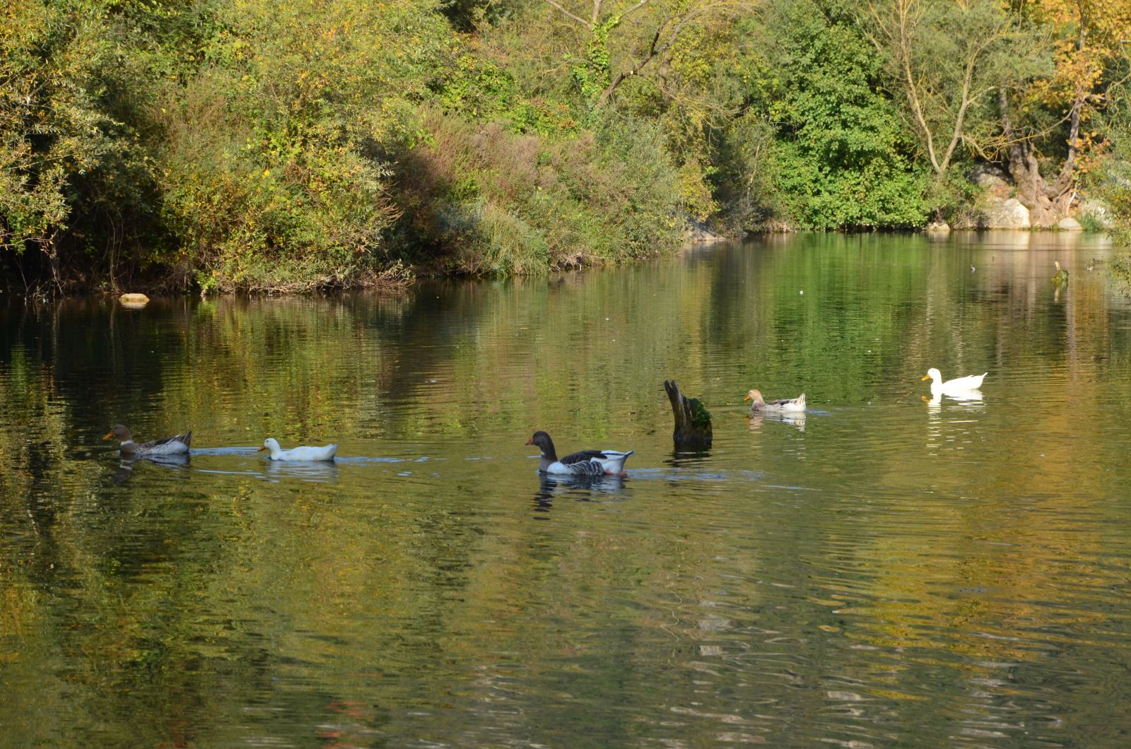 Ballıkayalar Kanyonu doğa tutkunlarını bekliyor