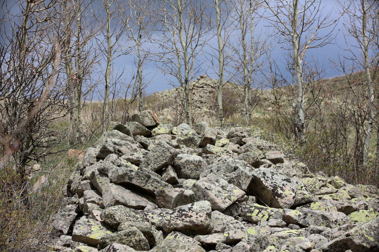 Bayburt'ta arkeolojik alan tespit edildi