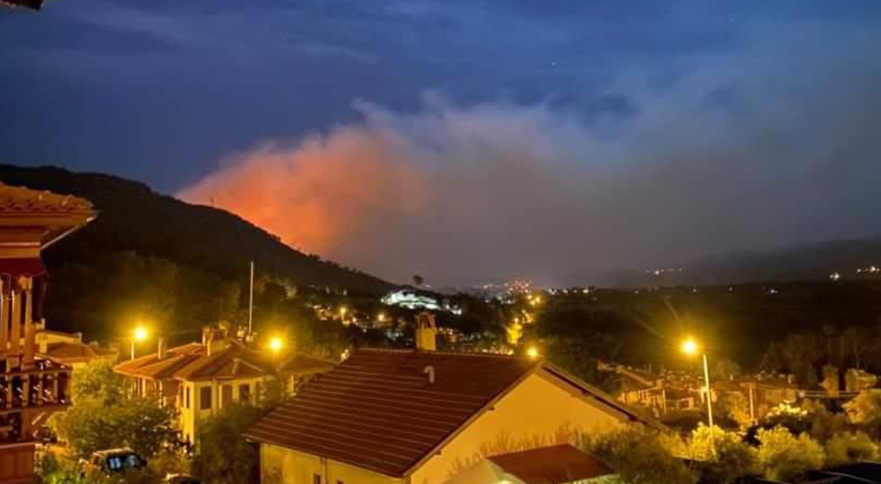 Son dakika: Muğla'nın Ula ilçesinde orman yangını kontrol altına alındı