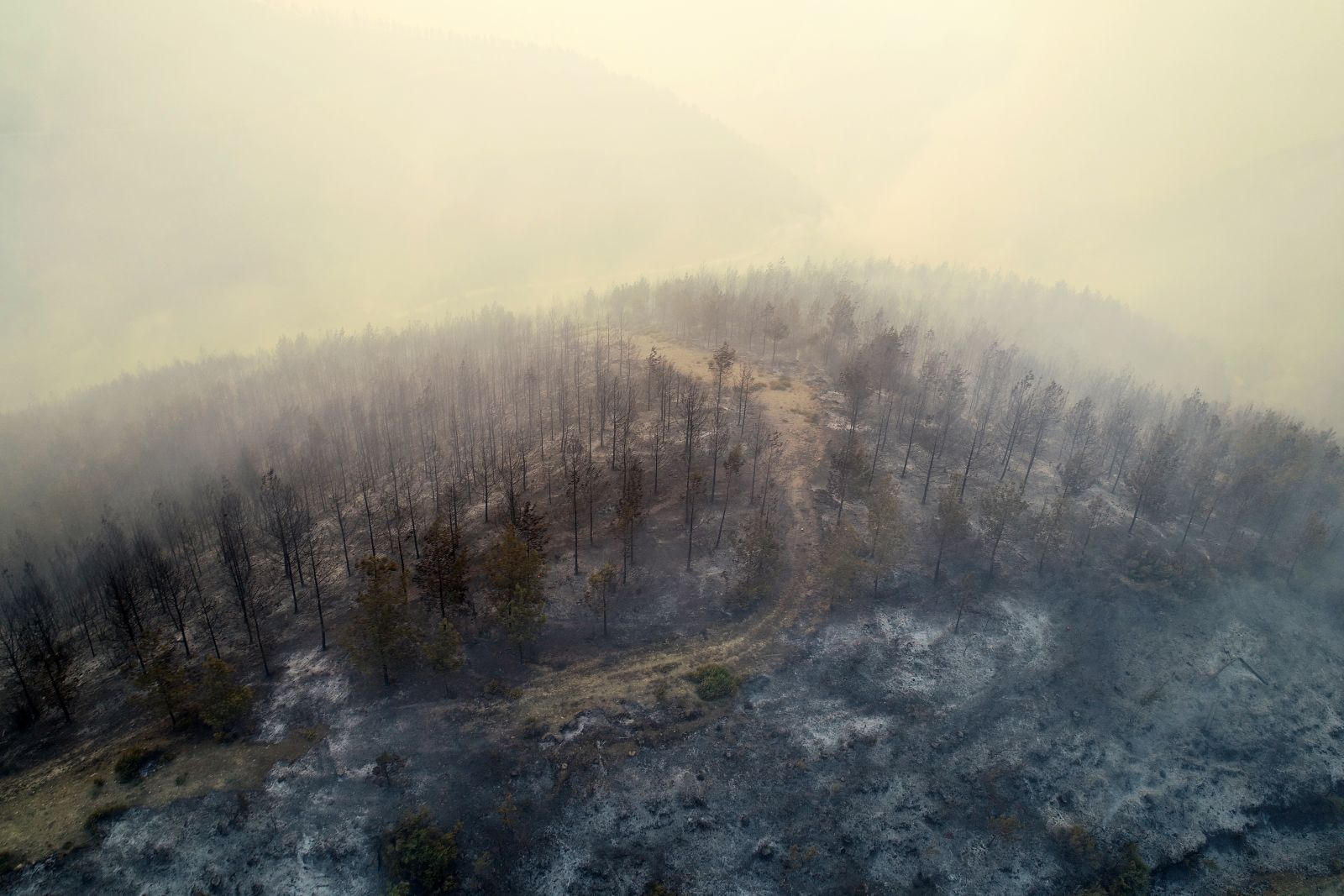 Bakan Pakdemirli: Yangın kontrol altında değil ama iyiye doğru gözlemlerimiz mümkün