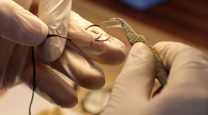 Anne sütü, bebek saçı ve kandan takılar üretiyor