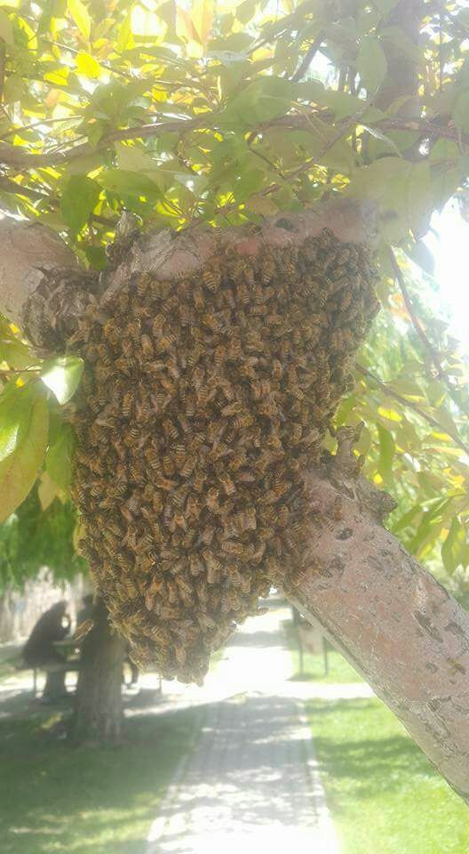 2 ay çalışarak yılda 100 bin lira kazanmak mümkün