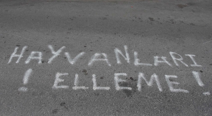 Komşularına söz geçiremeyen kadın sokağa 'hayvanları elleme' yazdı