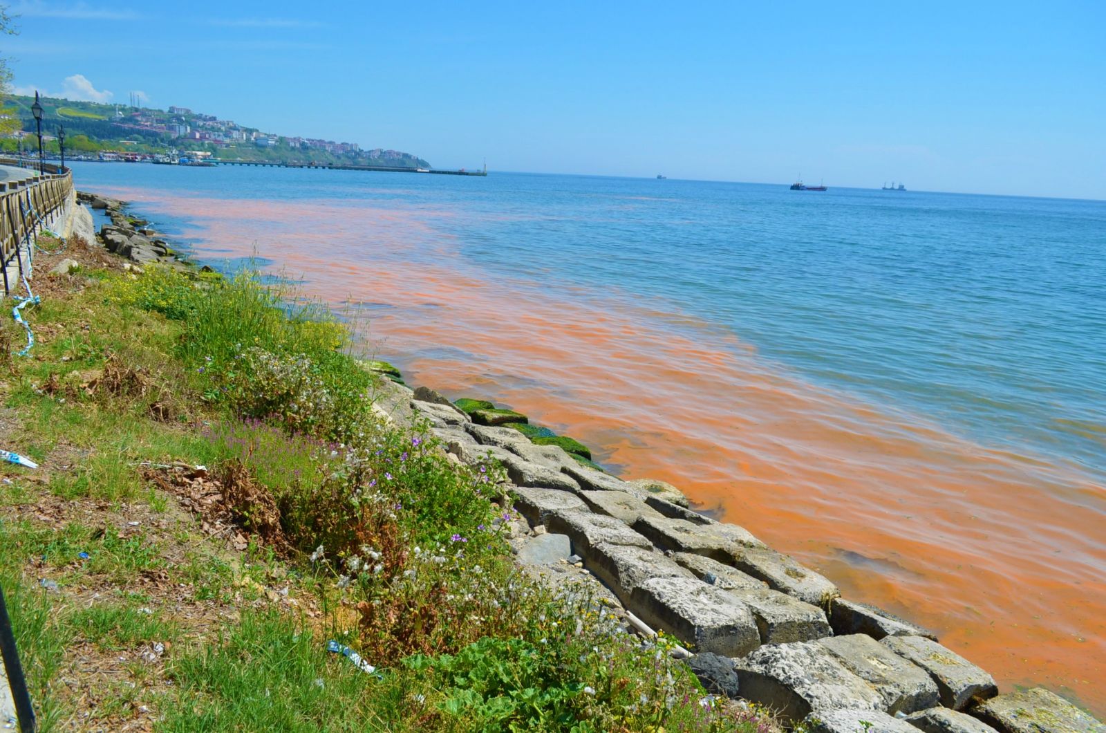 Marmara Denizi yine turuncuya büründü