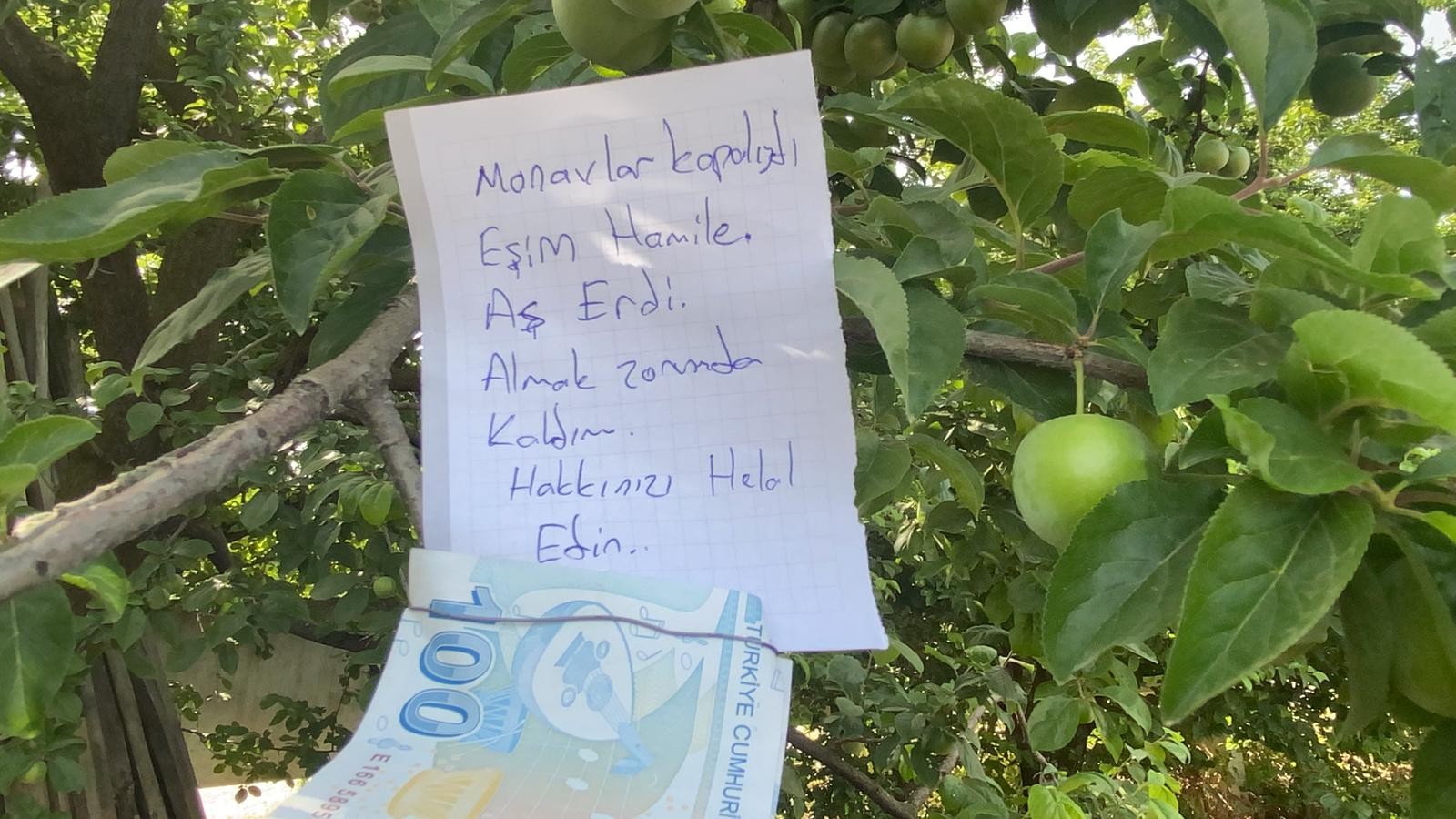 'İnsanlık ölmemiş' dedirten hareket