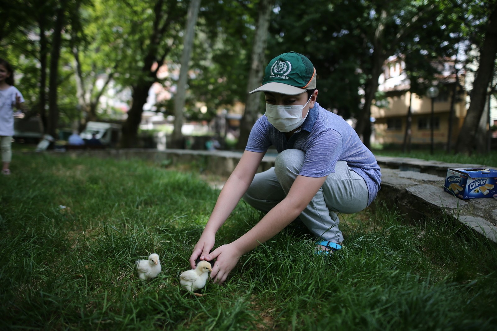 Dört saatlik izinde civcivlerinden ayrılamadı