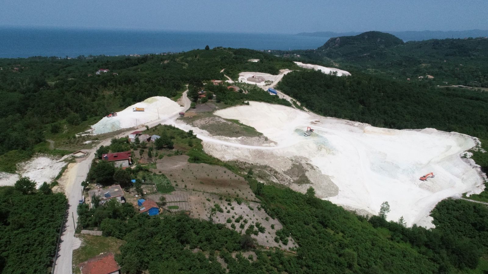 Ordu'da çıkarılıyor, 37 ülkeye ihraç ediliyor!