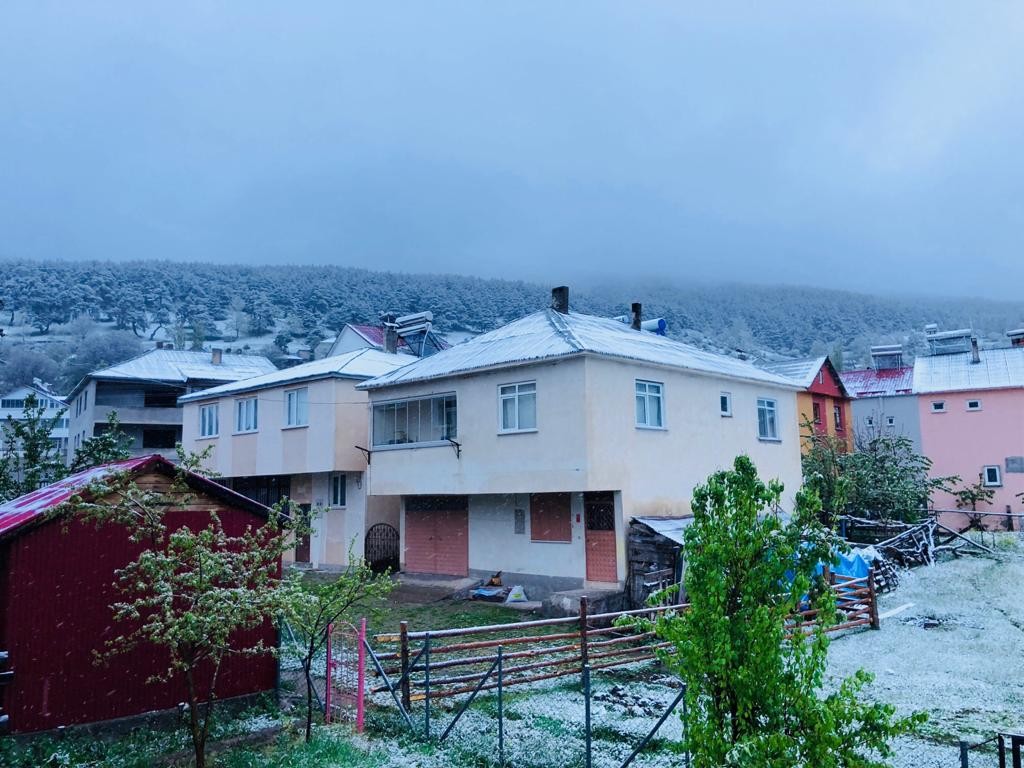 Sivas'ta Eğriçimen Yaylası mayıs ayında yağan karla beyaza büründü