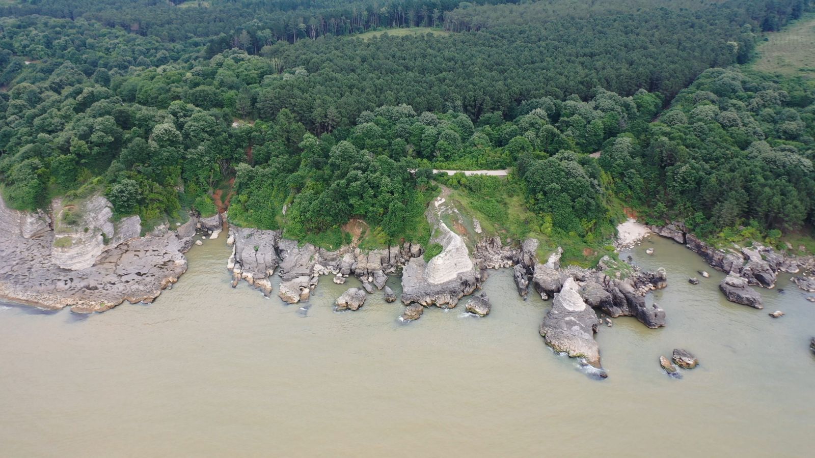 Sel suları Karadeniz’i kahverengiye bürüdü