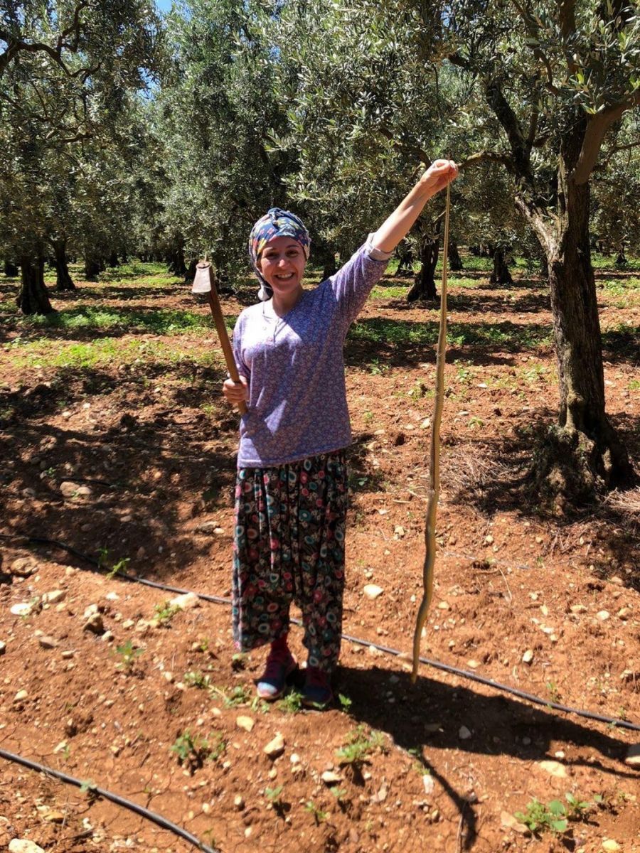Kadın çiftçi boyundan büyük yılan yakaladı