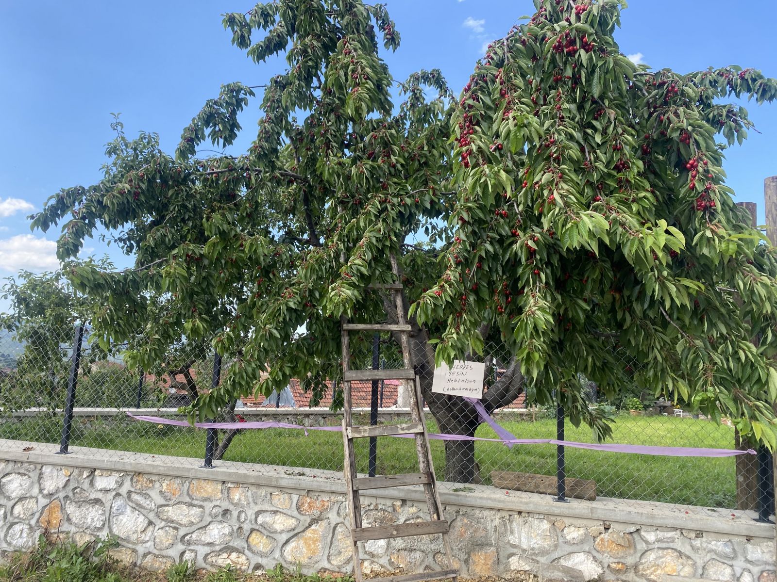 Bu notu gören kiraz yedi
