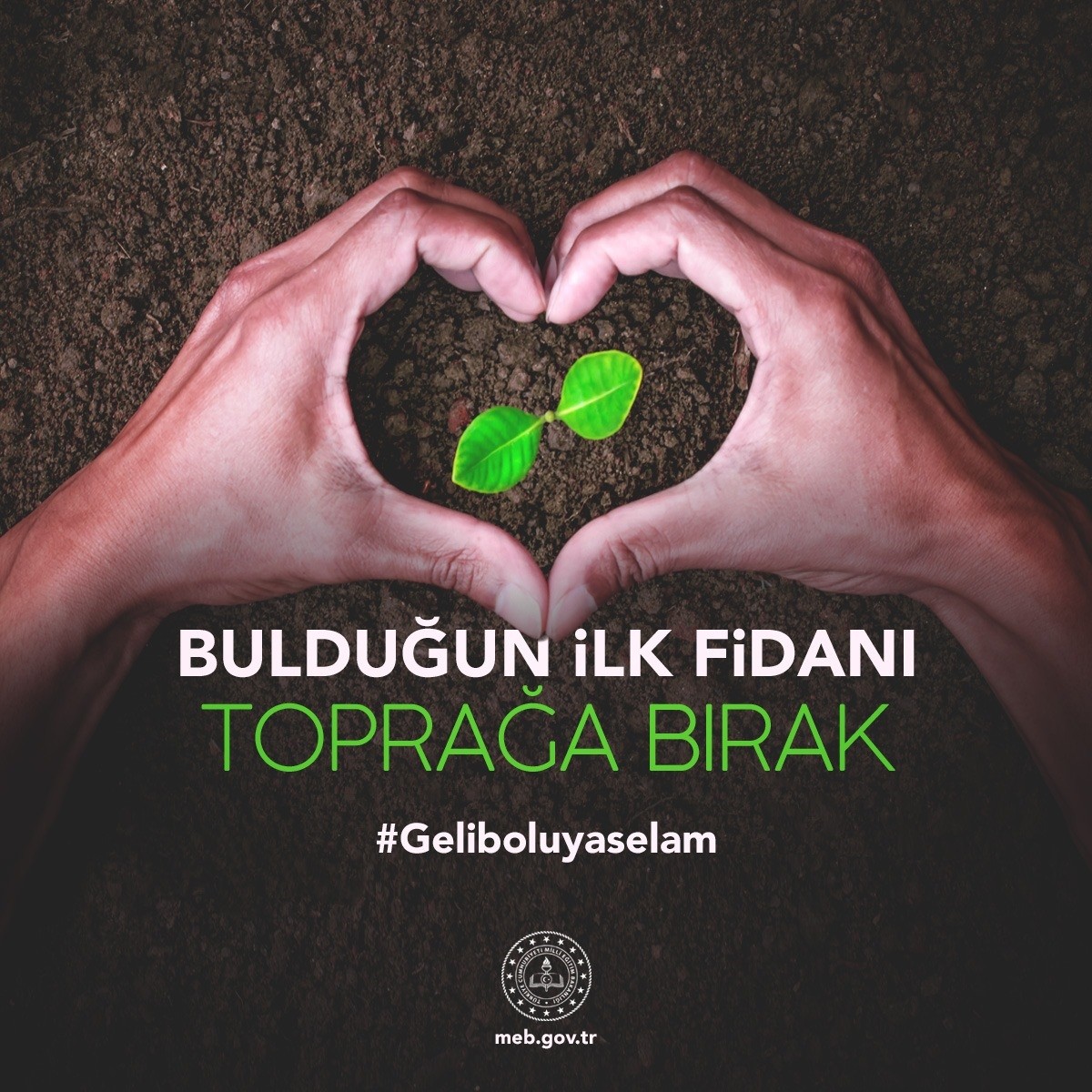 Bakan Selçuk'tan, Gelibolu ağaçları anısına fidan dikme çağrısı