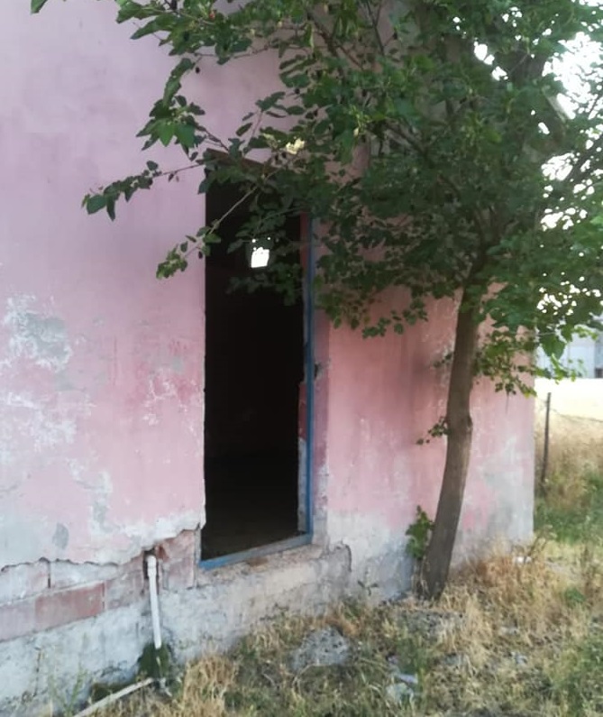 Koku gelince ortaya çıktı, kayıp hayvanlar 11 gün sonra halı sahada bulundu 1'i telef oldu