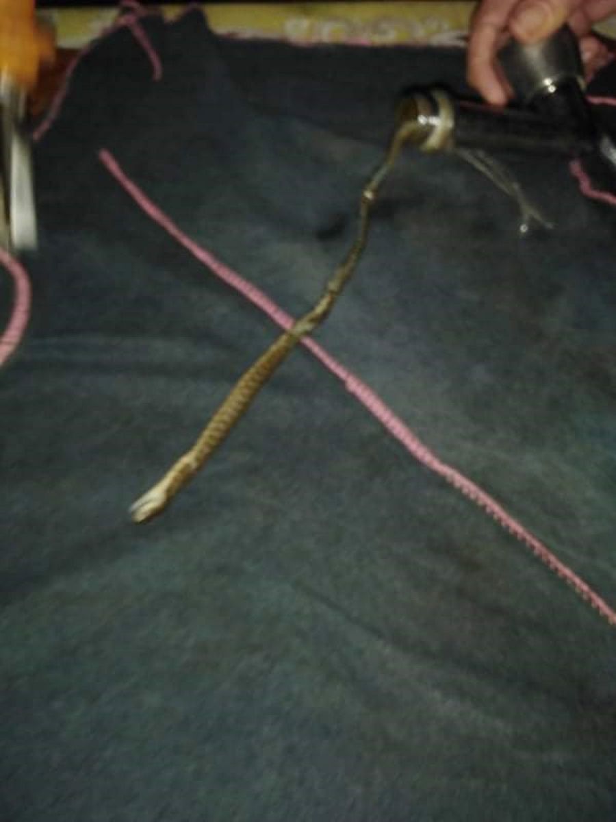 Görenler gözlerine inanamadı! Musluktan yılan çıktı Görenler gözlerine inanamadı! Musluktan yılan çıktı