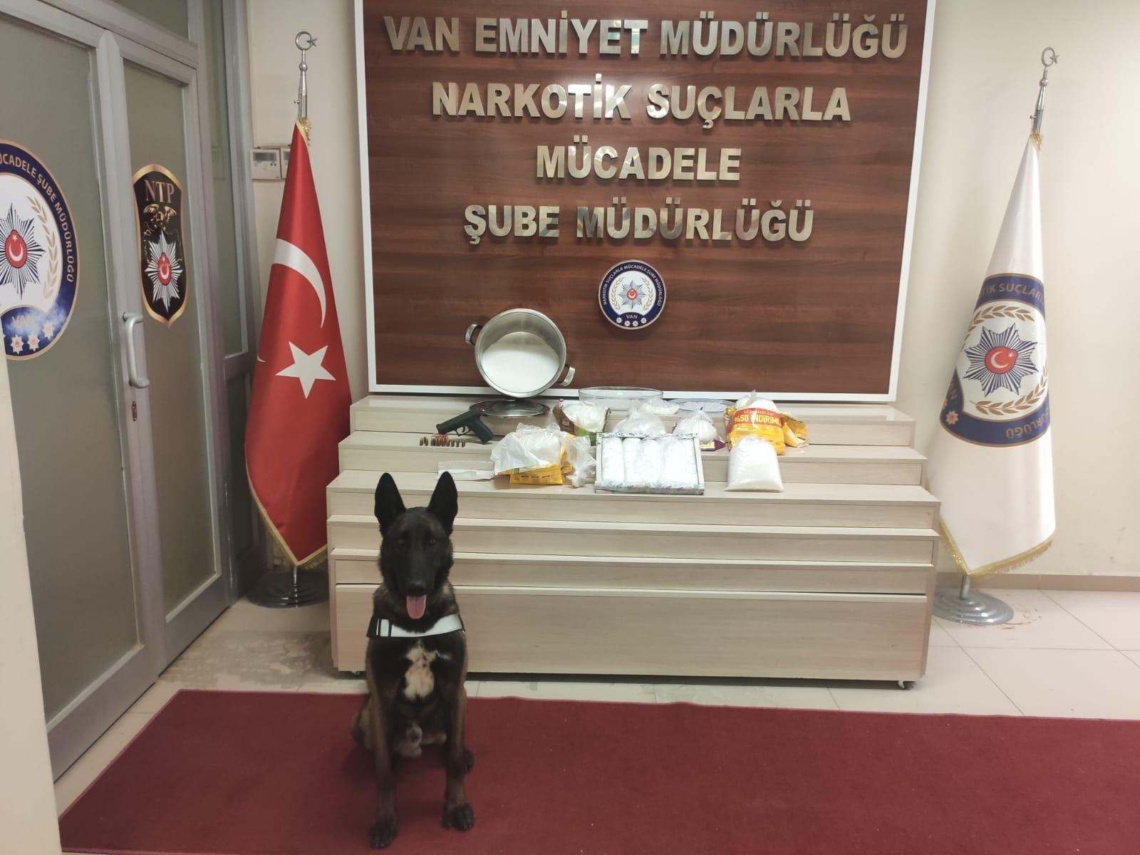 Kedi maması poşetlerinin içinden çıktı! Değeri 1,5 milyon lira