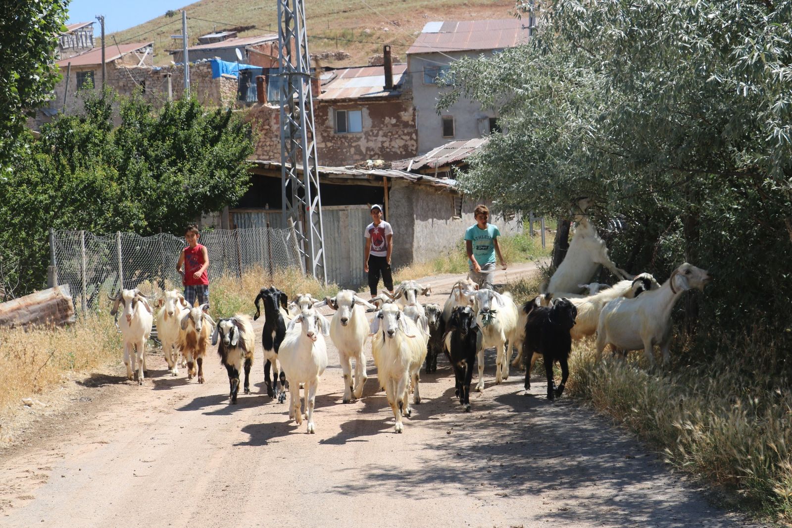 17 yıl sonra yeniden köylü olabilmek için sandığa giderek 'evet' dediler