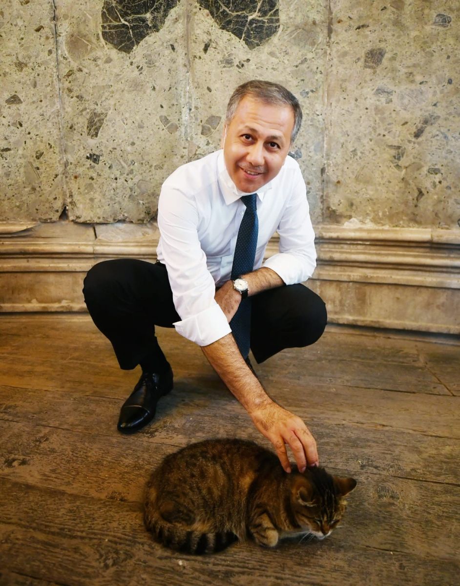 Vali Yerlikaya, Ayasofya'nın meşhur kedisiyle ilgilendi